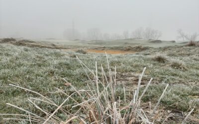 28.12.2024 ZAVŘENO