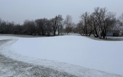 12.02.2025 HŘIŠTĚ ZAVŘENO