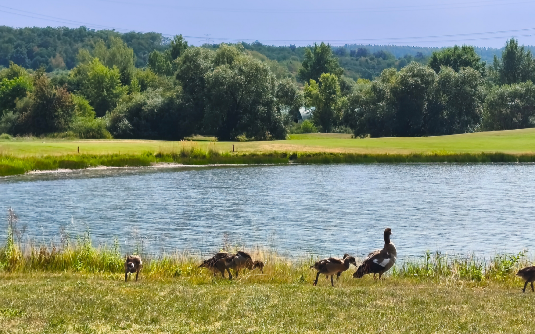 Léto ještě nekončí. Přijďte si zahrát 9 jamek. ⛳