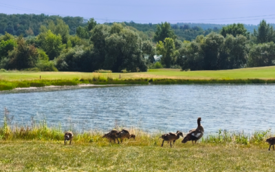 Léto ještě nekončí. Přijďte si zahrát 9 jamek. ⛳
