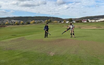 Greeny po údržbě v perfektní kondici! ⛳